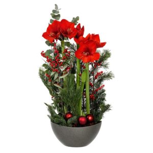 Julgruppen "Juletid", med amaryllis, röda bär och dekorationsgrönt samt röda julkulor. Ur Interfloras julsortiment.