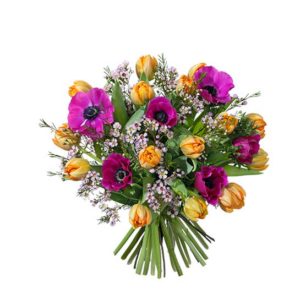 Färgstark bukett med tulpaner, anemonser och vaxblommor. Blommorna finns hos Interflora.
