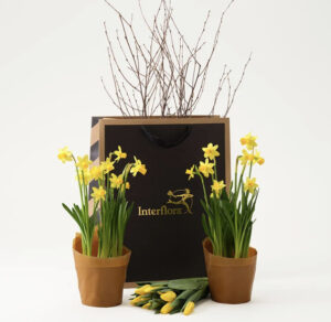 Presentpåse med ett par minipåskliljor, en bukett gula tulpaner och ett påskris. Skicka din blomstrande påskhälsning med ett blommogram från Interflora!