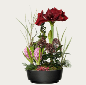 Lyxig stor julgrupp med vinröd amaryllis,rosa hyacinter och grönt. Skicka den med ett Interflora-blommogram!